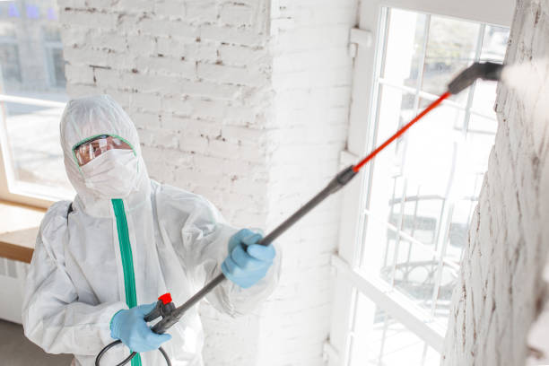 Best Commercial Mold Inspection  in Lifornia Polytechnic State University, CA