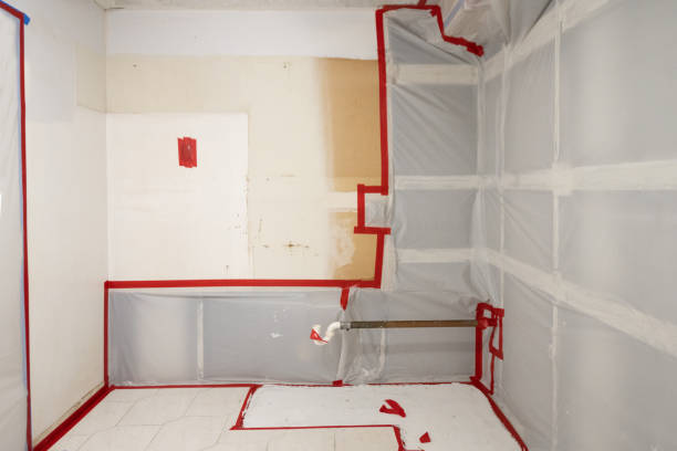 Trusted California Polytechnic State University, CA Mold Removal Experts