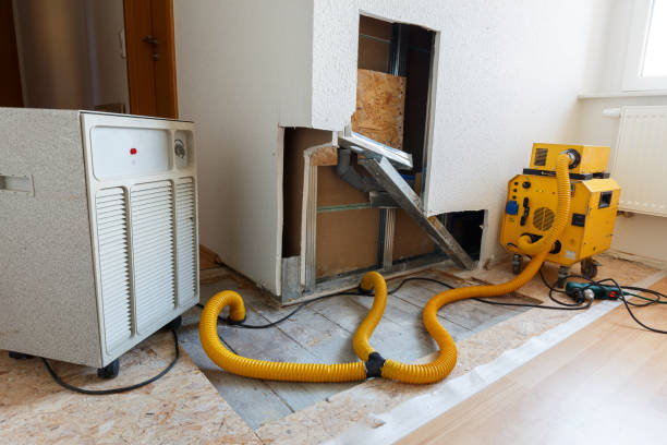 Best Residential Mold Inspection & Testing  in Lifornia Polytechnic State University, CA