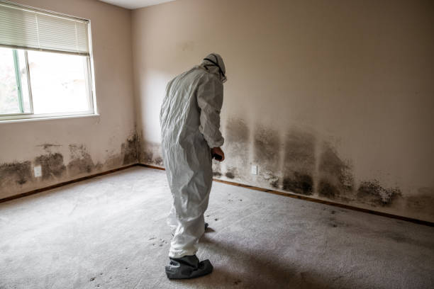 Best Crawl Space Mold Remediation  in Lifornia Polytechnic State University, CA